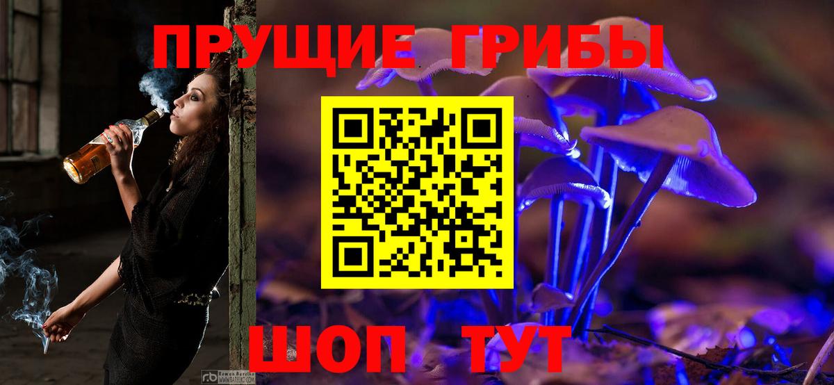 Псилоцибиновые грибы Psilocybine cubensis  Вход с VPN  Южноуральск 